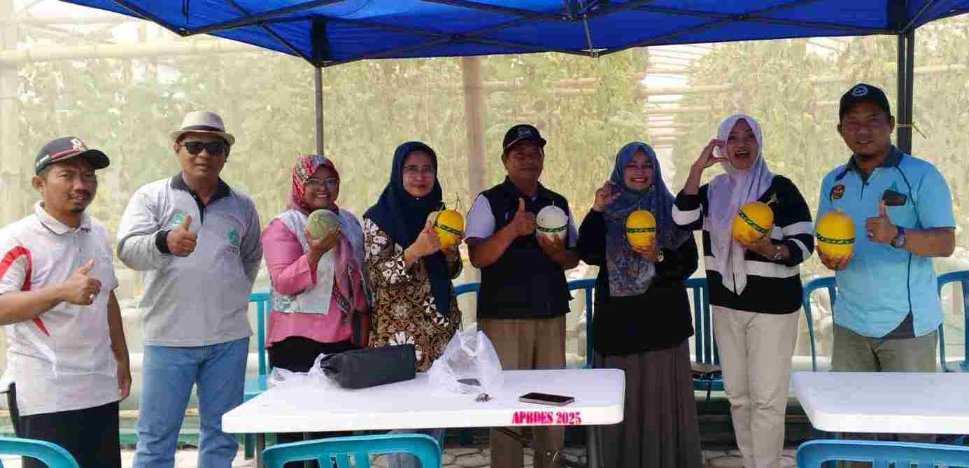 Ketapang Menik Sukses, BUMDes Gading Makmur Tuai Pujian Camat Sukodono
